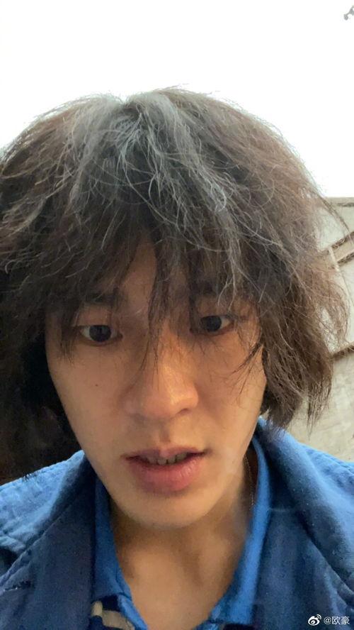 网络用语吃瓜是啥意思,吃瓜背后的趣味与内涵